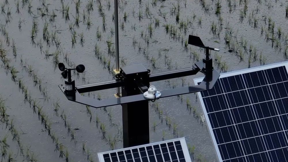 抢农时 护丰收 多维度保障“三夏”生产 抢农时 护丰收 多维度保障“三夏”生产