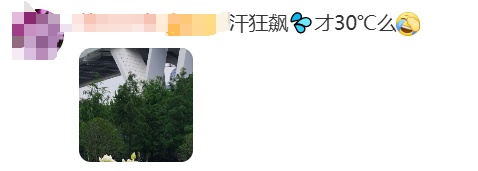 或有新台风生成!上海接下来高温成串,更难熬的是…… 或有新台风生成!上海接下来高温成串,更难熬的是……