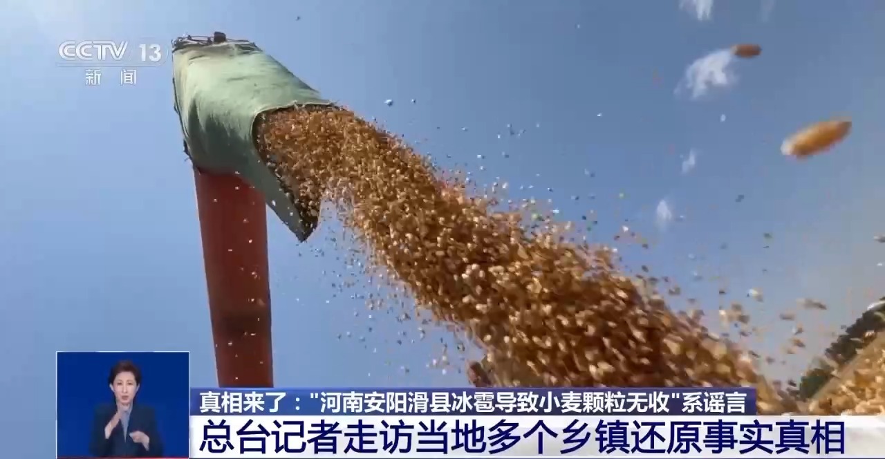 清远地裂、滑县“绝收”、重庆“命案”?连环揭伪来了 清远地裂、滑县“绝收”、重庆“命案”?连环揭伪来了