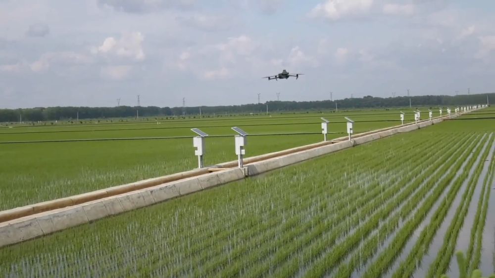 抢农时 护丰收 多维度保障“三夏”生产 抢农时 护丰收 多维度保障“三夏”生产