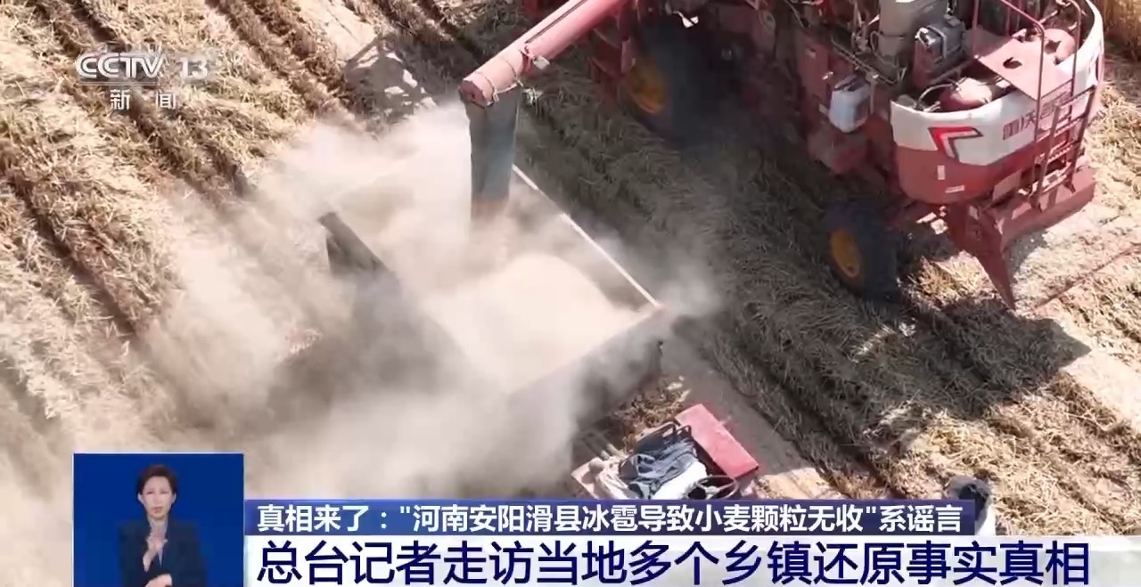 清远地裂、滑县“绝收”、重庆“命案”?连环揭伪来了 清远地裂、滑县“绝收”、重庆“命案”?连环揭伪来了