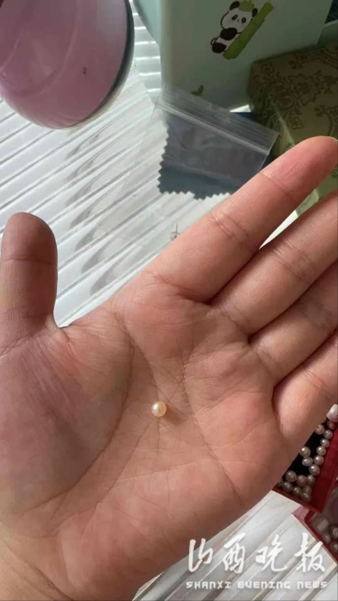 直播间开蚌“拆宝”热，珍珠到手却“翻车”！背后藏着啥猫腻？