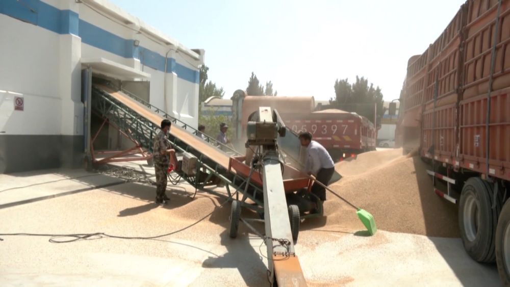 抢农时 护丰收 多维度保障“三夏”生产 抢农时 护丰收 多维度保障“三夏”生产