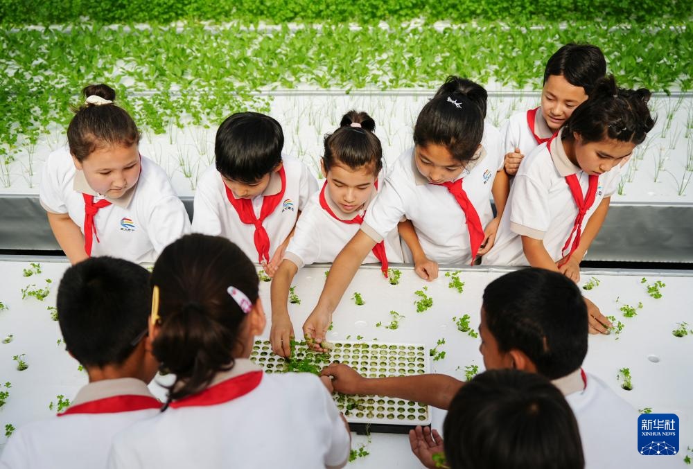 对口援疆助力戈壁兴建智慧农业植物工厂 对口援疆助力戈壁兴建智慧农业植物工厂