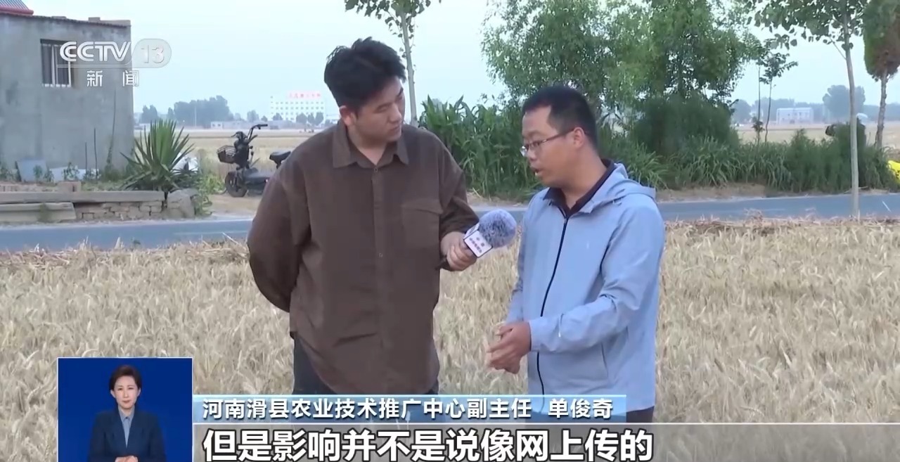 清远地裂、滑县“绝收”、重庆“命案”?连环揭伪来了 清远地裂、滑县“绝收”、重庆“命案”?连环揭伪来了