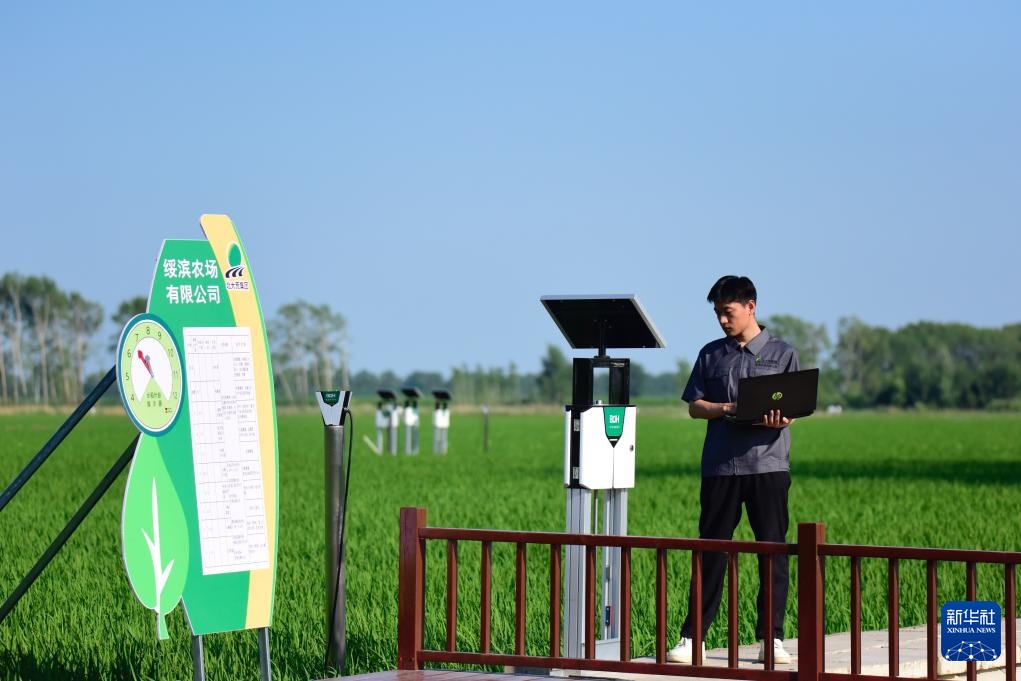 黑龙江垦区:“用养结合”保护黑土地 黑龙江垦区:“用养结合”保护黑土地