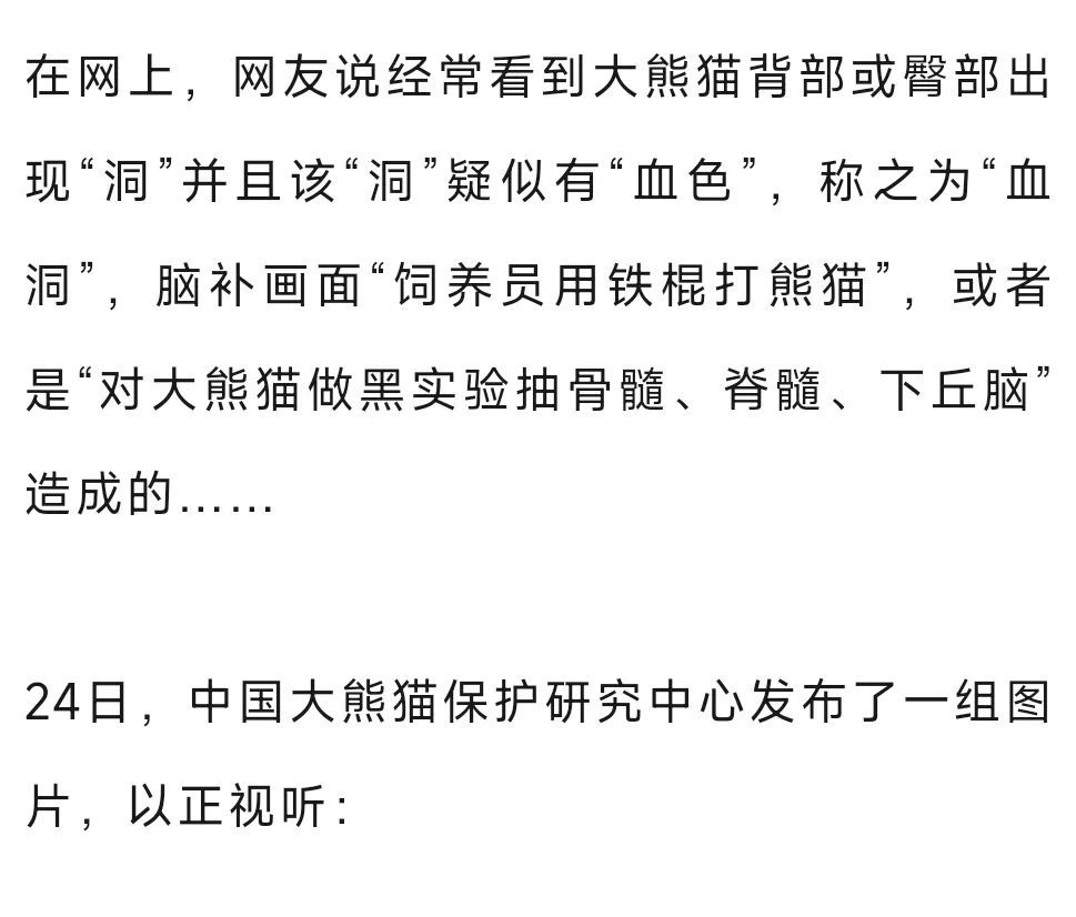 大熊猫背上有“血洞”？熊猫中心回应
