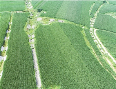 护好用好我们的土地资源 护好用好我们的土地资源