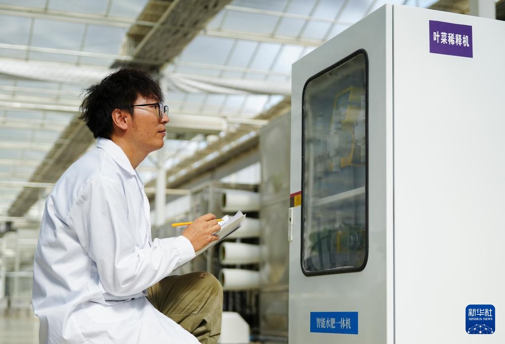 对口援疆助力戈壁兴建智慧农业植物工厂 对口援疆助力戈壁兴建智慧农业植物工厂