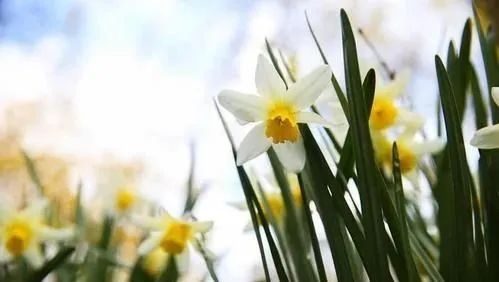 水肿、起夜、血压升高？这些信号可能是肾脏在报警！