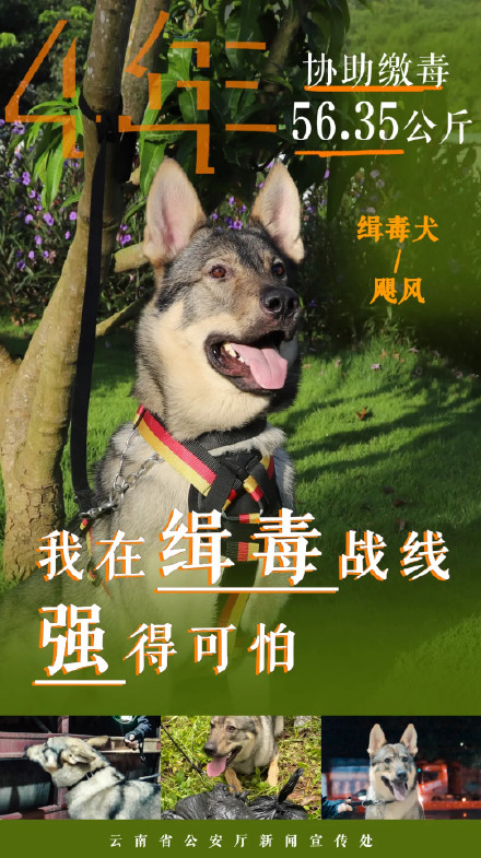 10位不打码的缉毒战士成绩单
