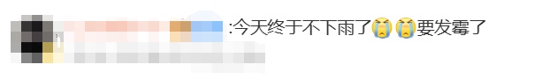 或有新台风生成!上海接下来高温成串,更难熬的是…… 或有新台风生成!上海接下来高温成串,更难熬的是……
