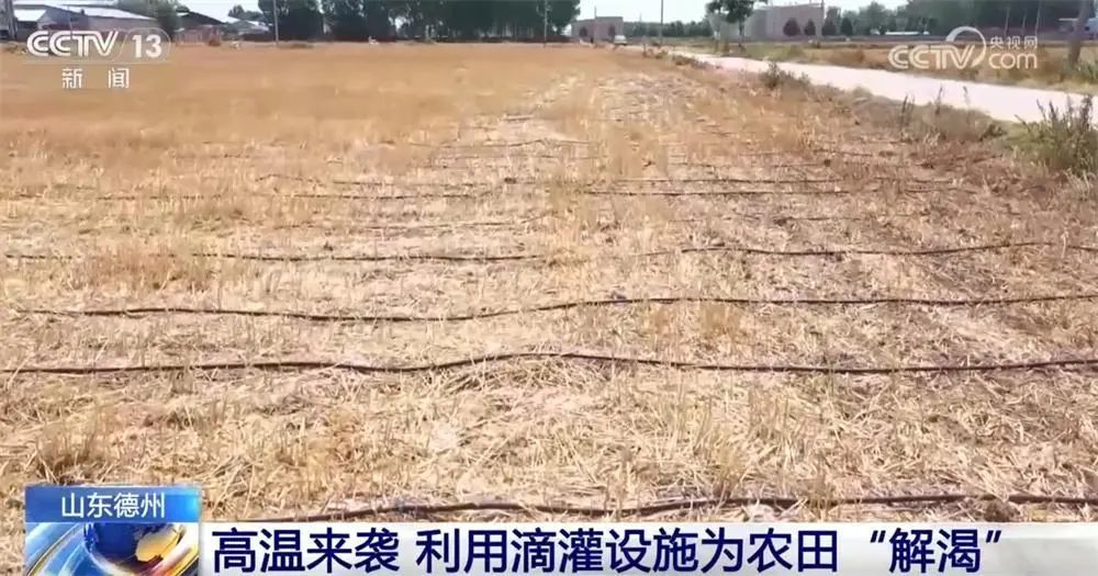 京津冀鲁豫等地高温持续!各地依据气象预报有序应对 京津冀鲁豫等地高温持续!各地依据气象预报有序应对