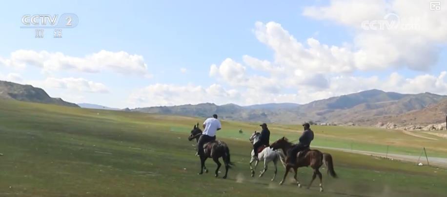 从海滨休闲到草原狂欢:暑期文旅市场多点开花 新业态激发消费新活力 从海滨休闲到草原狂欢:暑期文旅市场多点开花 新业态激发消费新活力