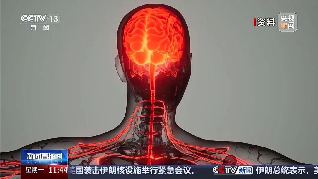 贩毒头目被抓，年仅17岁！