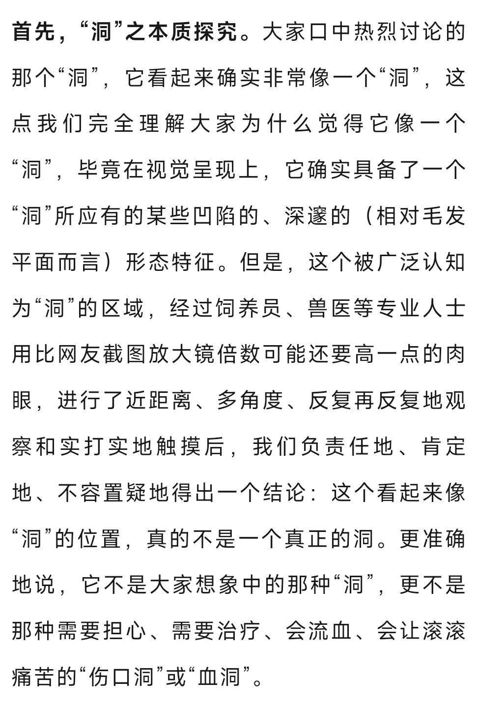大熊猫背上有“血洞”？熊猫中心回应