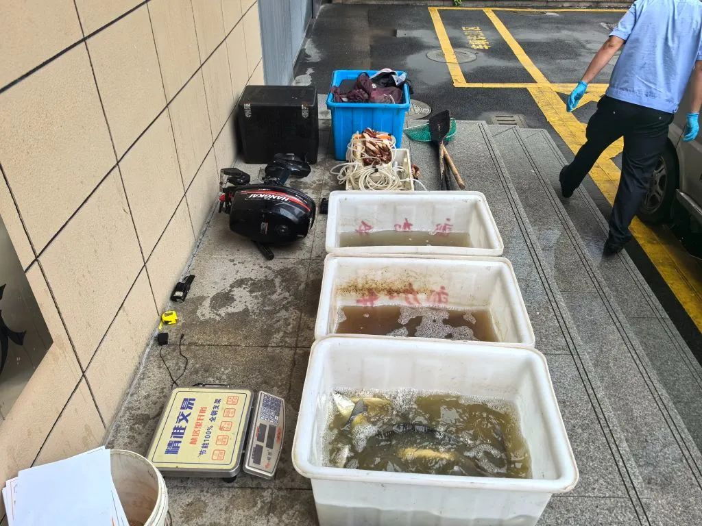 顶风作案！4人被抓获！