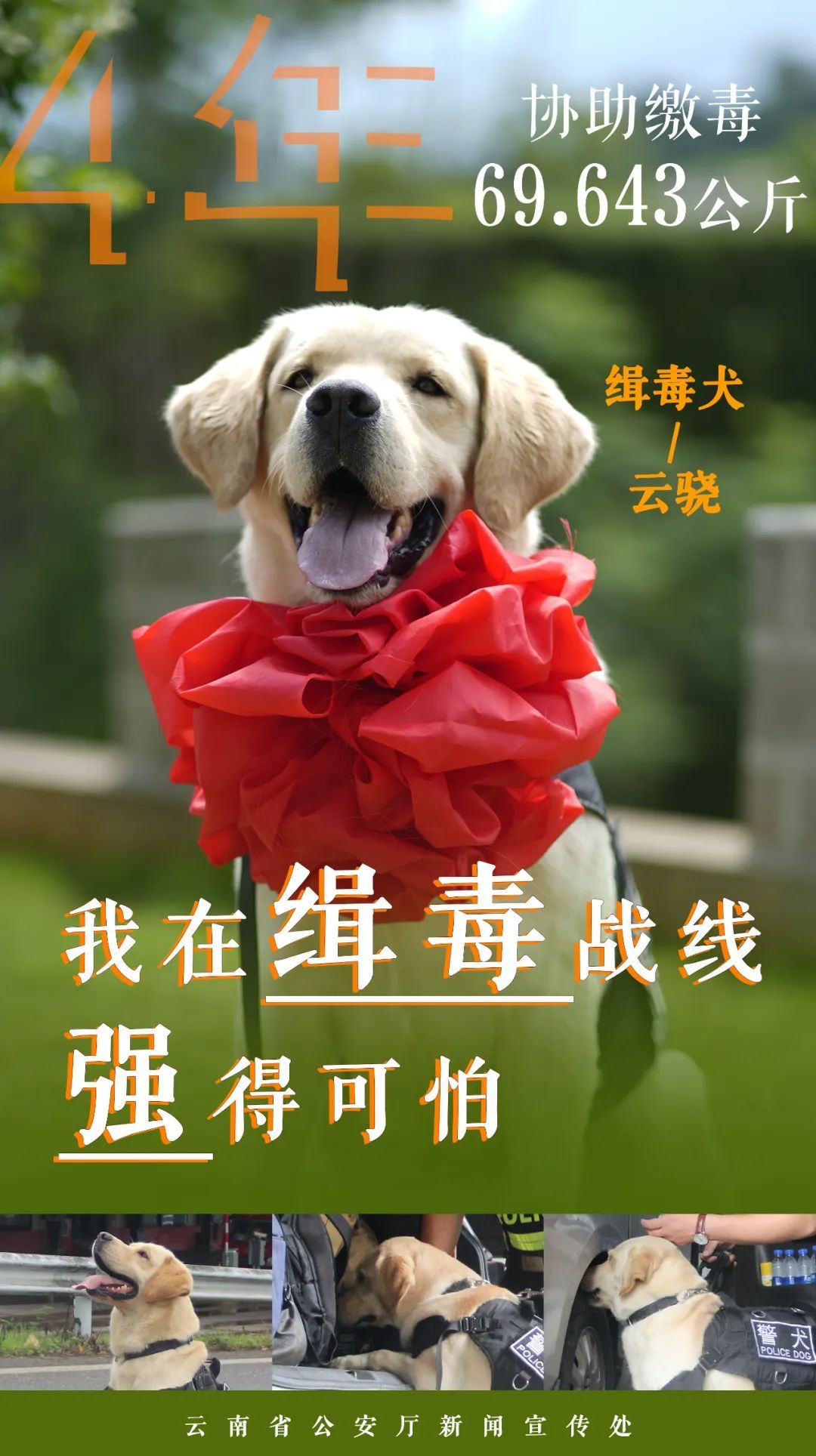 点赞无言战友!缉毒汪汪队成绩强得可怕 点赞无言战友!缉毒汪汪队成绩强得可怕