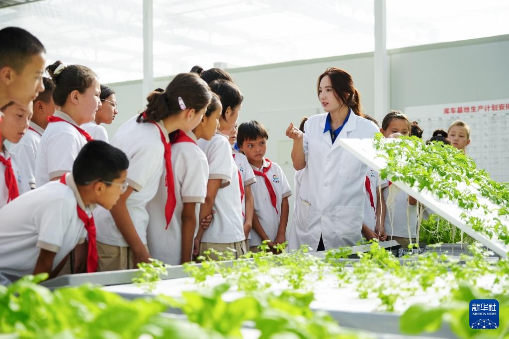 对口援疆助力戈壁兴建智慧农业植物工厂 对口援疆助力戈壁兴建智慧农业植物工厂