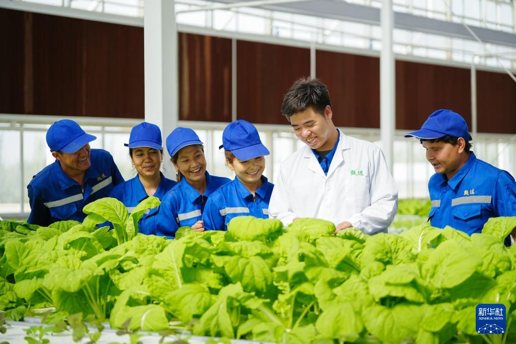 对口援疆助力戈壁兴建智慧农业植物工厂 对口援疆助力戈壁兴建智慧农业植物工厂