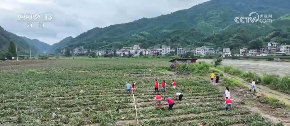 受灾地区迅速开展灾后重建工作 群众生产生活秩序有序恢复