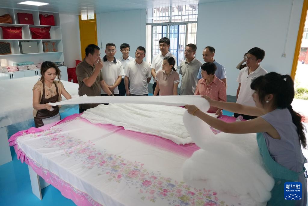 陕西安康：第一书记聚合力促振兴