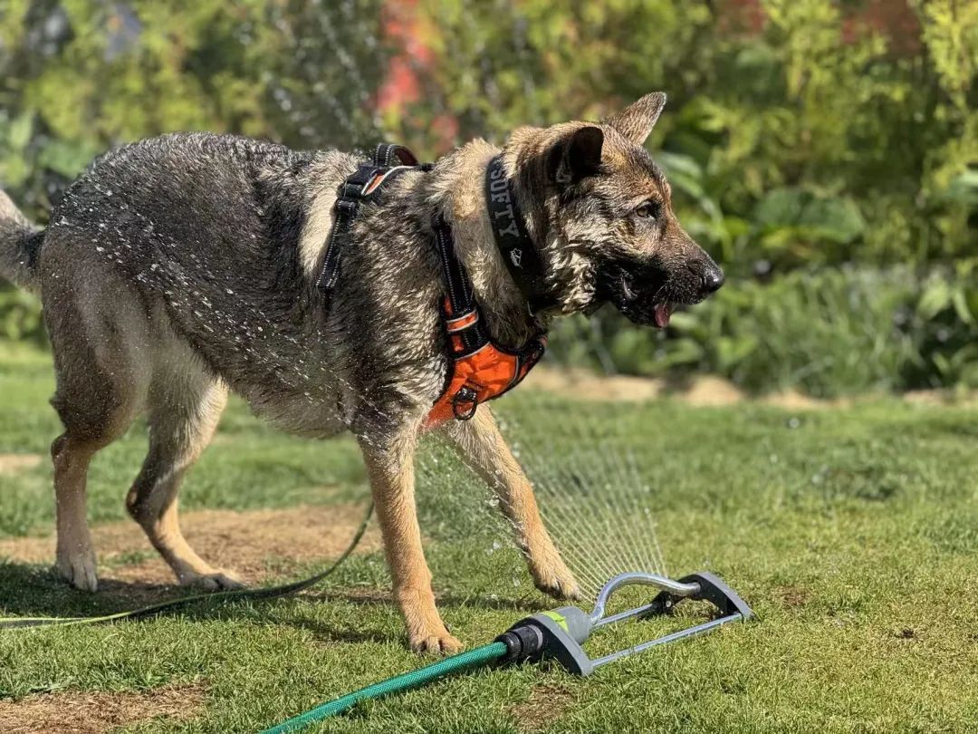 北京天气切换:高温暂退,多雨模式启动!未来一周4场雨 北京天气切换:高温暂退,多雨模式启动!未来一周4场雨