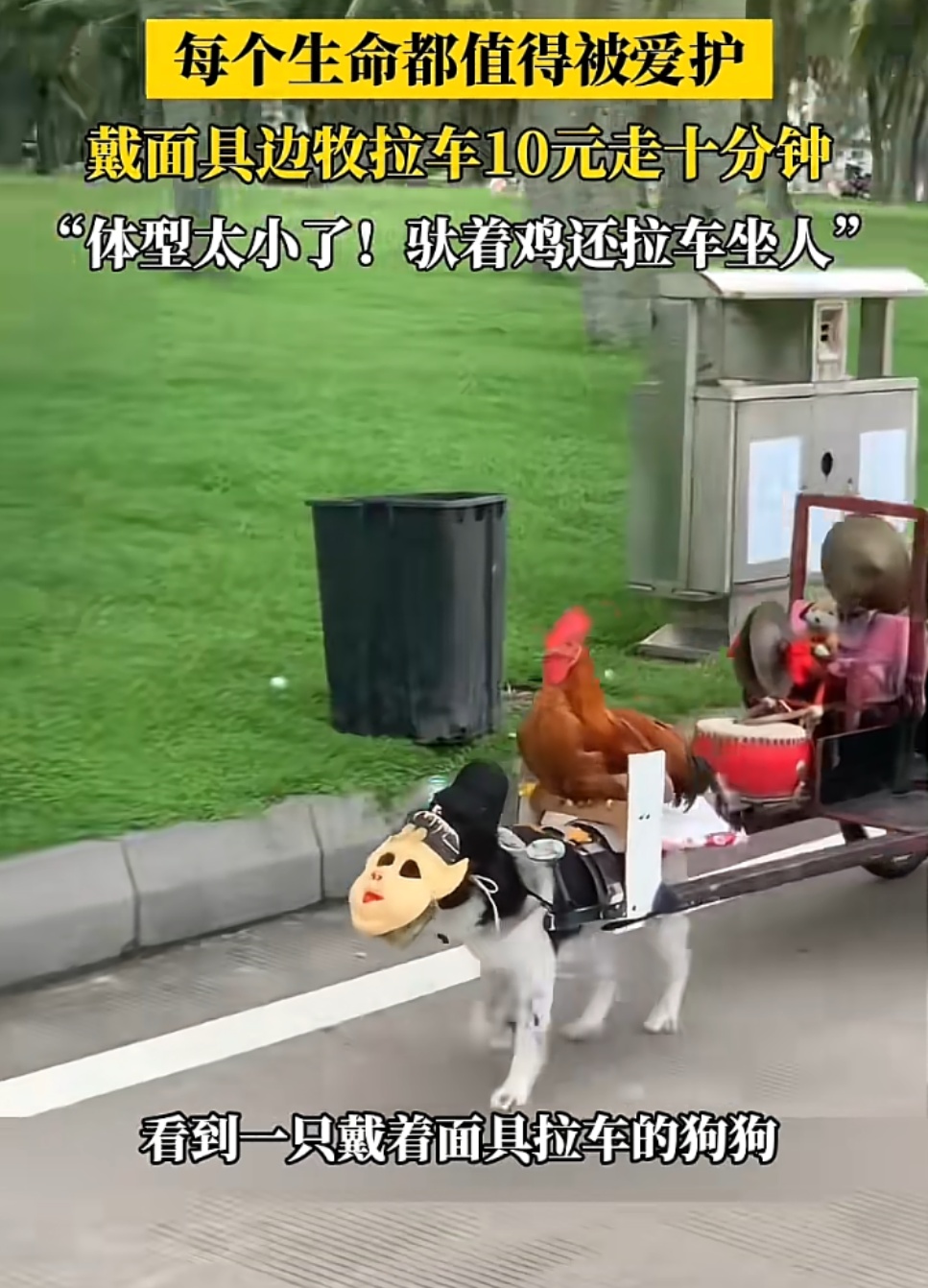 “你再也不是赚钱工具了！”上海女生千里远赴湛江解救，全网心疼的故事有后续了