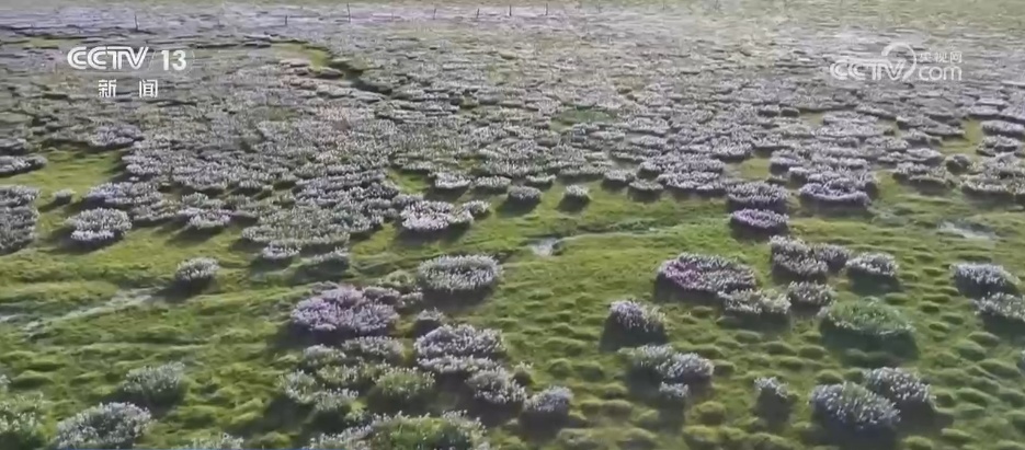 仲夏时节万物繁盛 透过镜头领略万千气象的大美中国 仲夏时节万物繁盛 透过镜头领略万千气象的大美中国