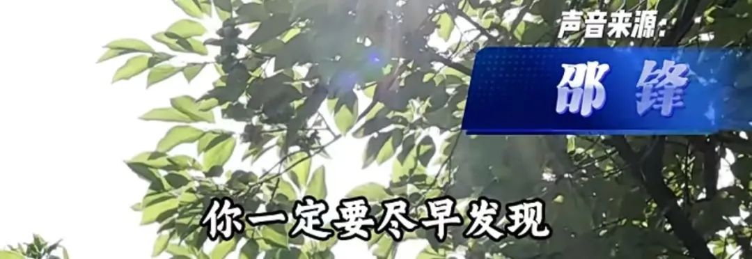 和韦东奕一起顶刊发文!他说这件事很要紧 和韦东奕一起顶刊发文!他说这件事很要紧