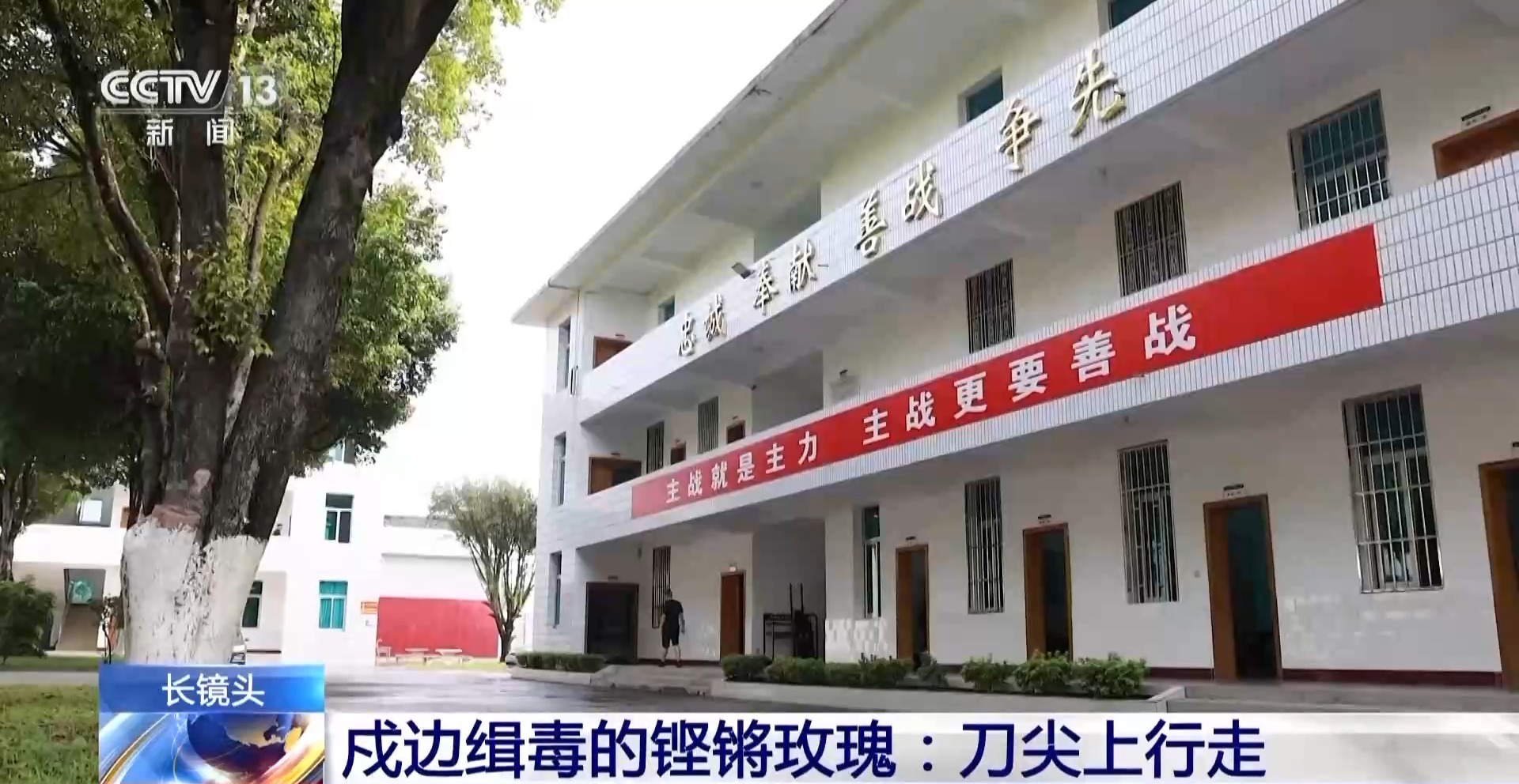 铿锵玫瑰 走进缉毒女民警任莎莎的故事