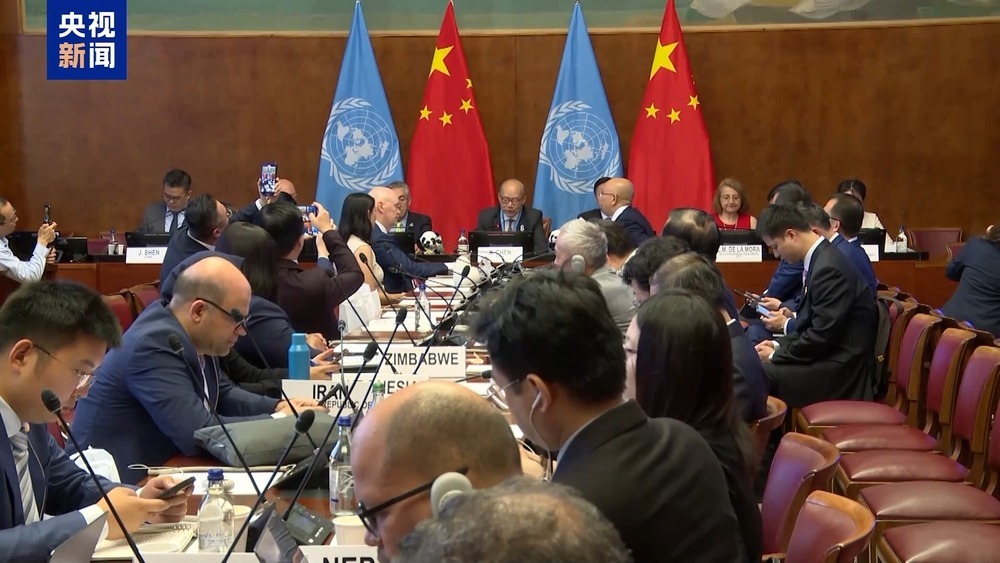 全球发展倡议主题研讨会在日内瓦举行 与会各方期待与中国加强合作 全球发展倡议主题研讨会在日内瓦举行 与会各方期待与中国加强合作