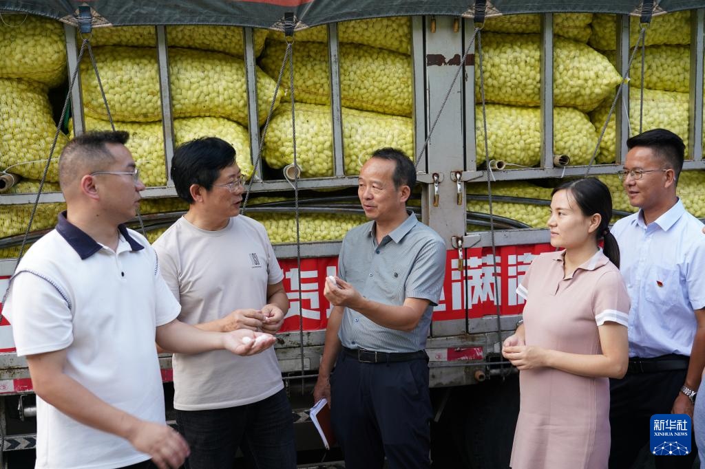 陕西安康：第一书记聚合力促振兴