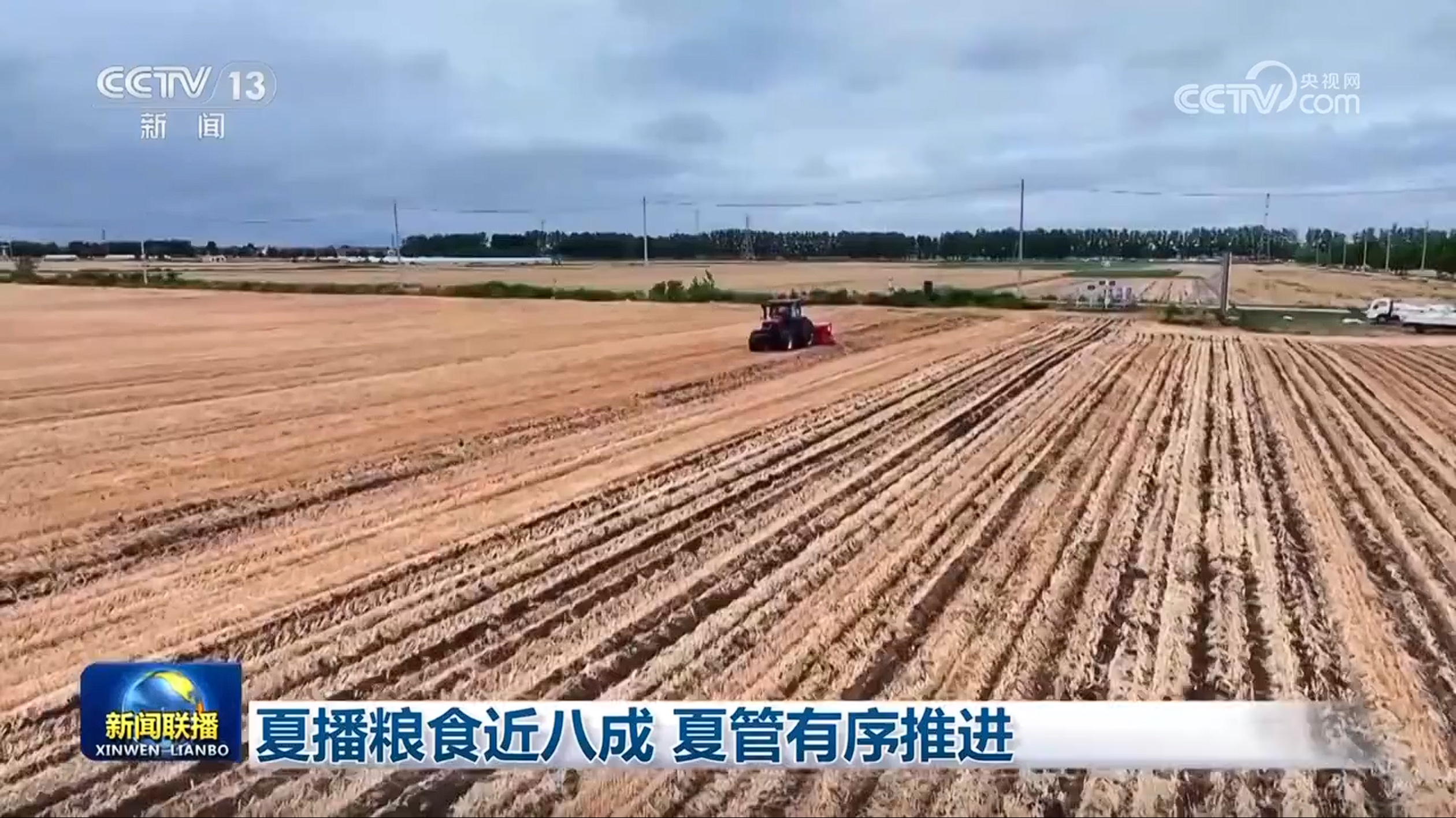 夏播粮食近八成 夏管有序推进