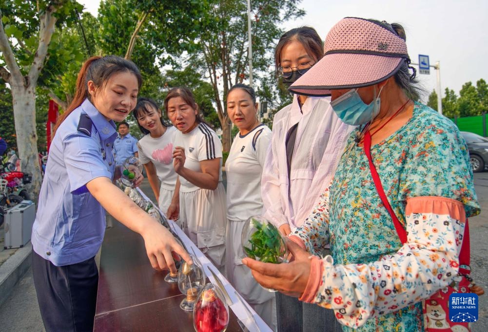 国际禁毒日:健康人生 绿色无毒 国际禁毒日:健康人生 绿色无毒