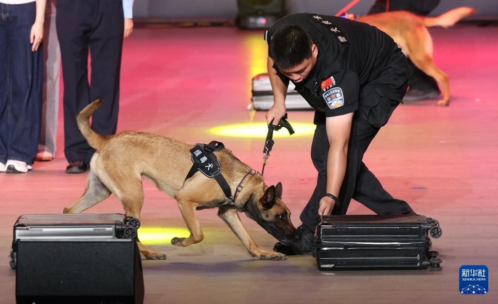 国际禁毒日:健康人生 绿色无毒 国际禁毒日:健康人生 绿色无毒