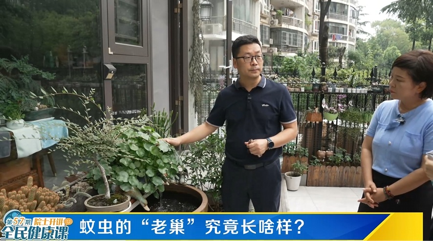 蚊子为什么爱咬你？教你几招让蚊子无处可逃