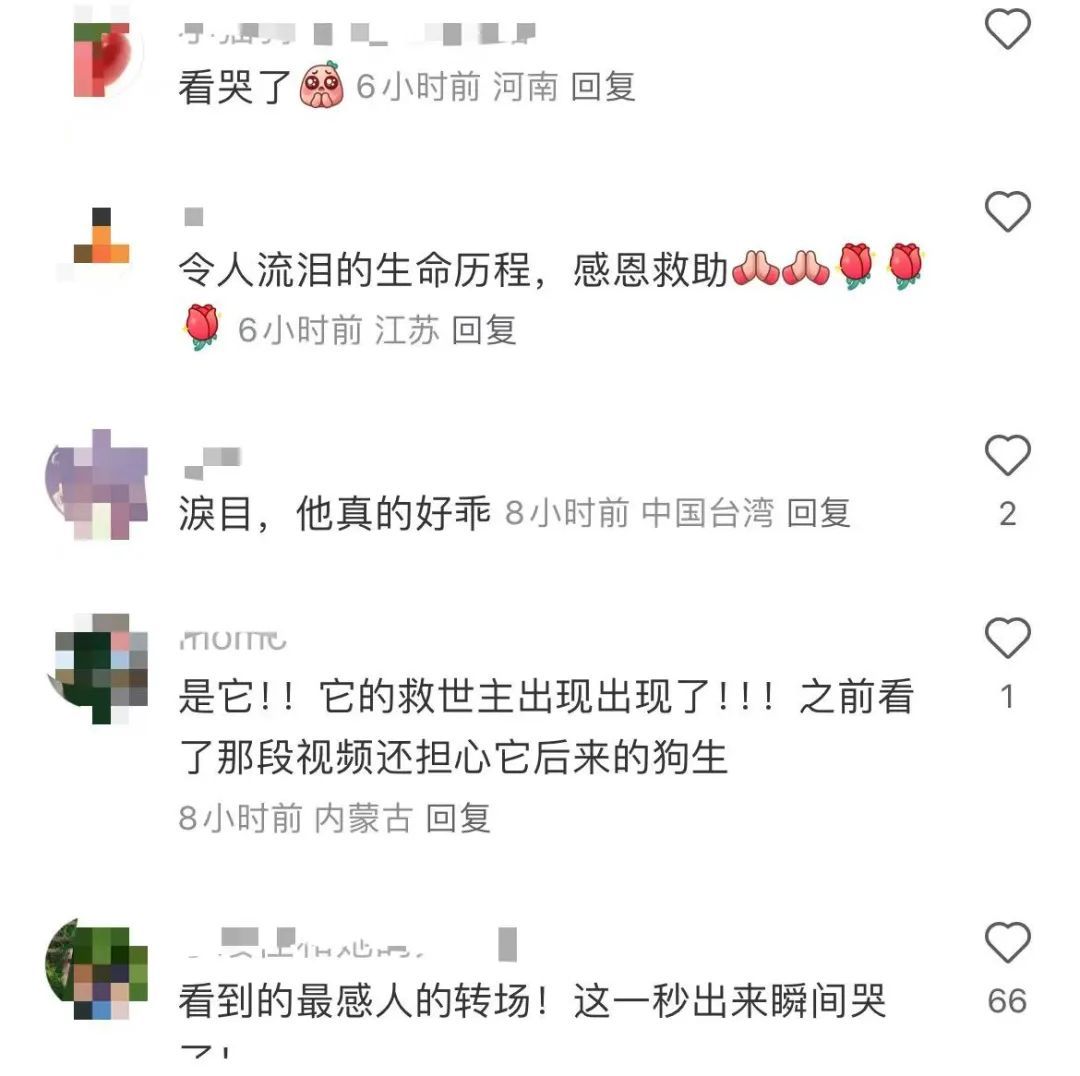 “你再也不是赚钱工具了！”上海女生千里远赴湛江解救，全网心疼的故事有后续了