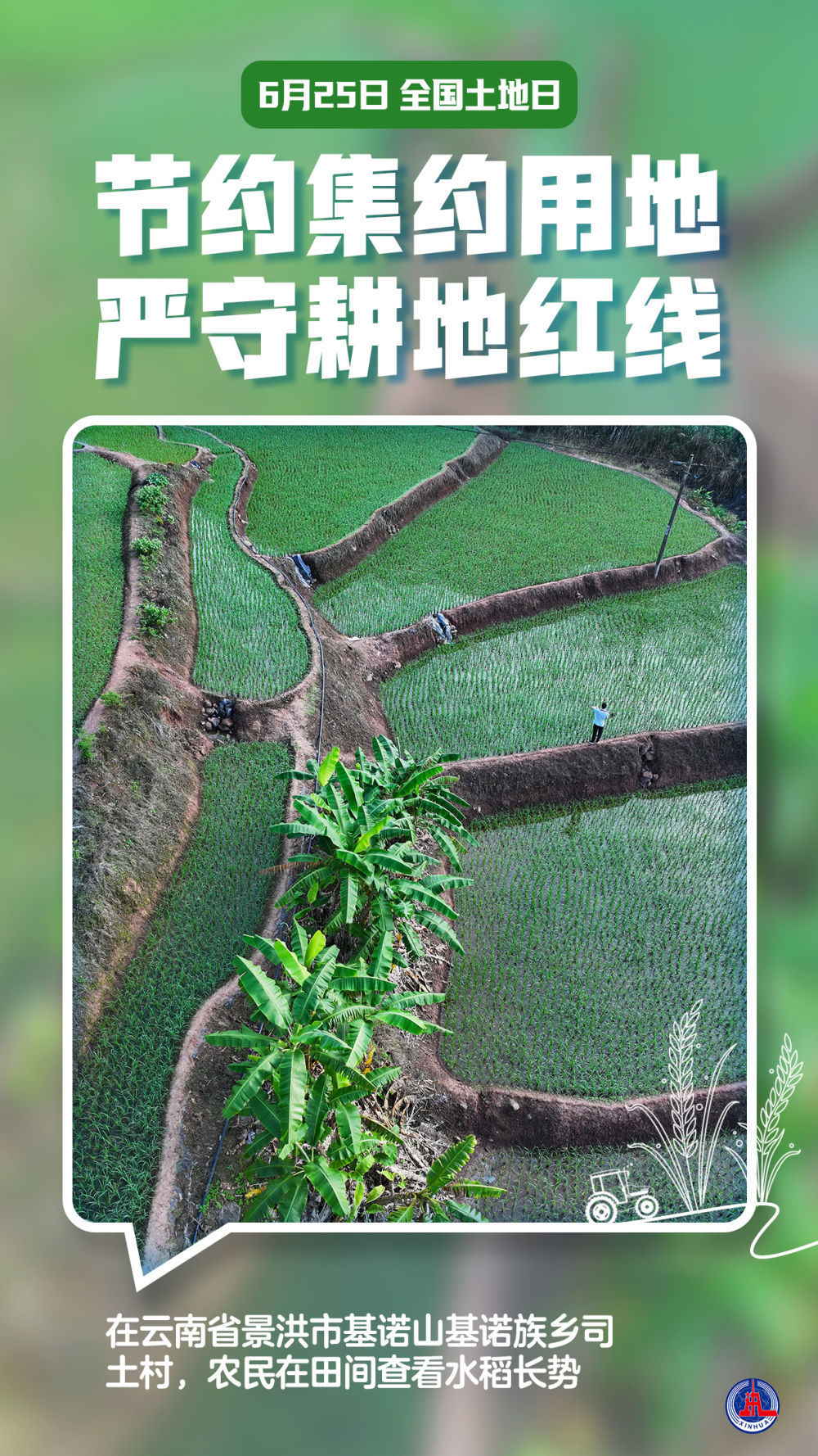 新华全媒+丨全国土地日：节约集约用地 严守耕地红线