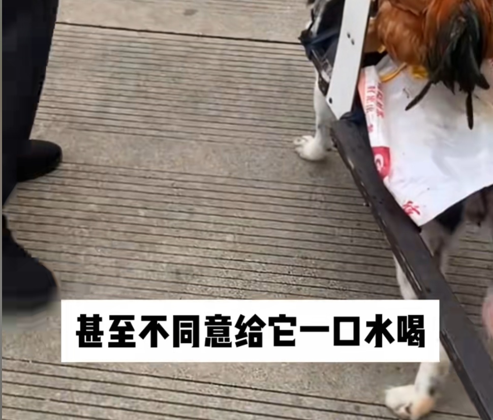 “你再也不是赚钱工具了！”上海女生千里远赴湛江解救，全网心疼的故事有后续了