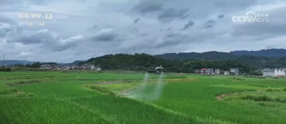 受灾地区迅速开展灾后重建工作 群众生产生活秩序有序恢复