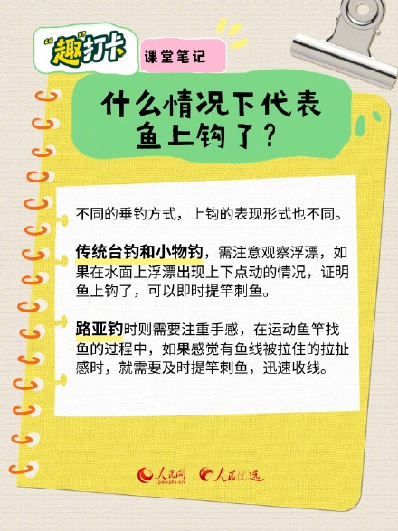 一起“趣”钓鱼！钓鱼新手入门指南