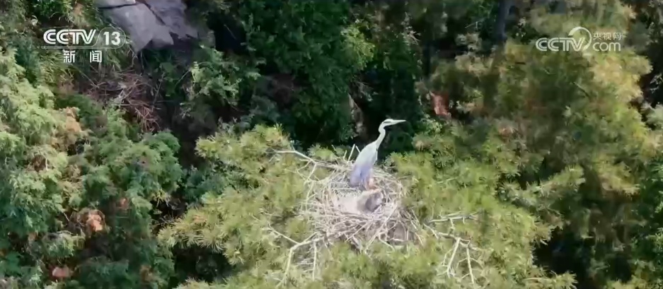 仲夏时节万物繁盛 透过镜头领略万千气象的大美中国 仲夏时节万物繁盛 透过镜头领略万千气象的大美中国