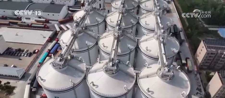 全国夏粮收获过九成 手机操作、线上预约成为今年农民卖粮新方式