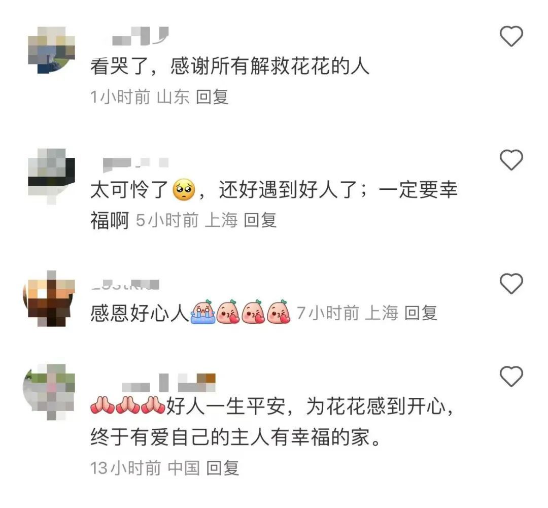 “你再也不是赚钱工具了！”上海女生千里远赴湛江解救，全网心疼的故事有后续了