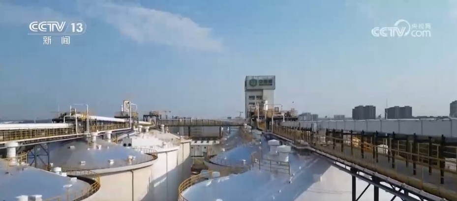 “坐”电梯、“穿”新衣、“住”楼房 “大国粮仓”里藏着多少“科技密码”↓