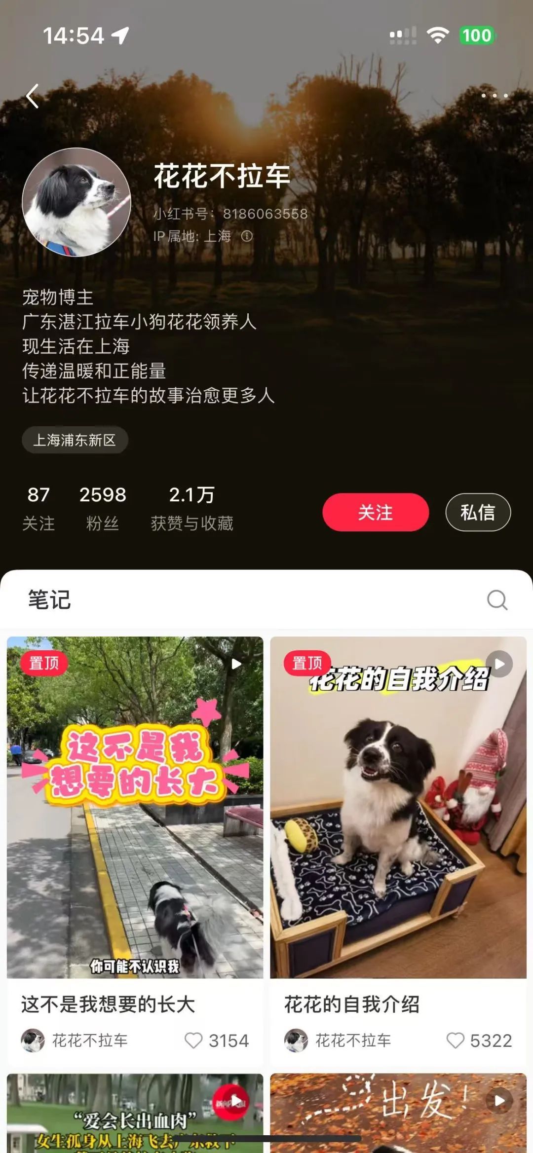 “你再也不是赚钱工具了！”上海女生千里远赴湛江解救，全网心疼的故事有后续了