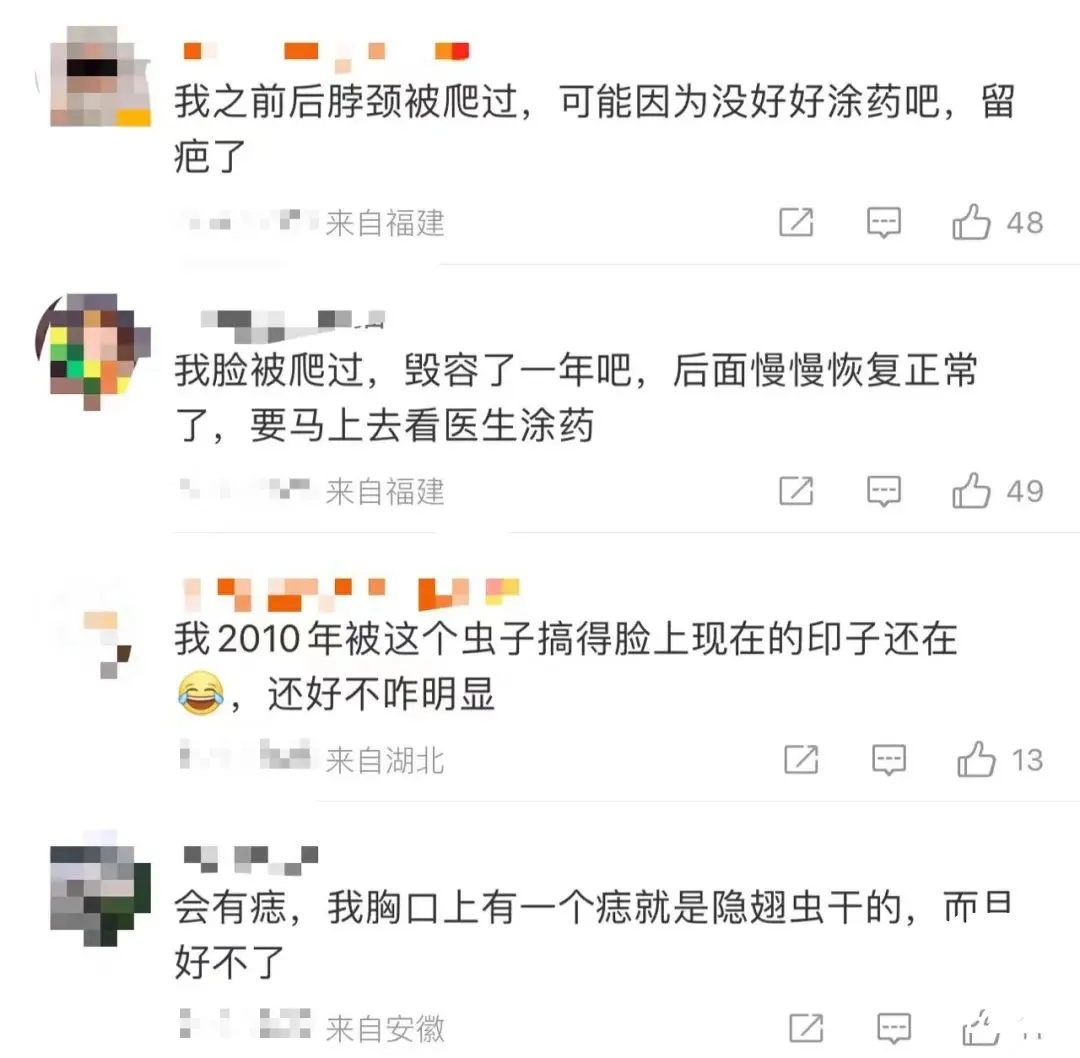 毒液堪比硫酸!女子摸了下脖子就“中招”!千万别碰,有人差点毁容 毒液堪比硫酸!女子摸了下脖子就“中招”!千万别碰,有人差点毁容