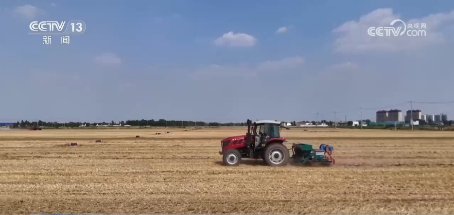 全国夏粮收获过九成 手机操作、线上预约成为今年农民卖粮新方式
