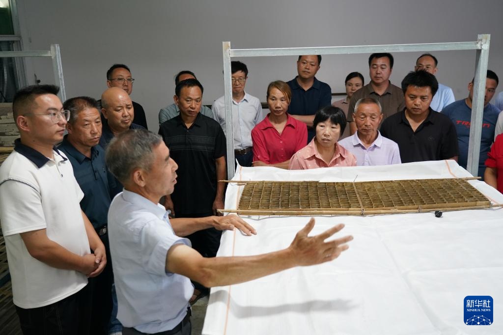 陕西安康：第一书记聚合力促振兴